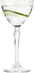 Hendrick’s Martini Gin cocktail