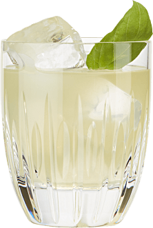 Hendrick's Gin Basil Smash Cocktail
