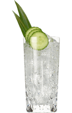 Hendrick's Gin Amazonia & Tonic Cocktail